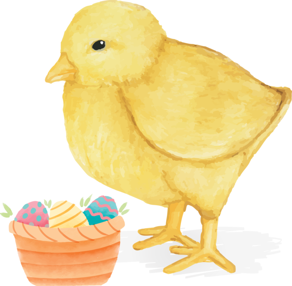 Transparent Easter Chicken Bird Yellow for Easter Day for Easter