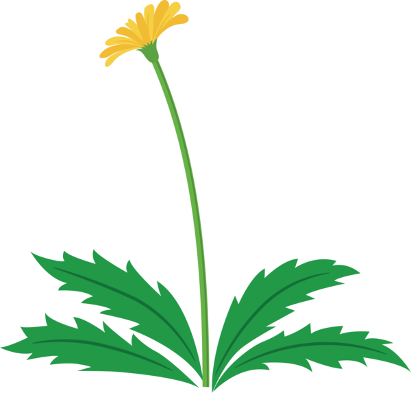 Transparent Easter Flower Plant Leaf for Easter Flower for Easter