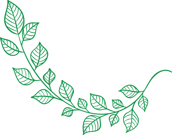 Transparent St. Patrick's Day Leaf Line art Plant for Saint Patrick for St Patricks Day