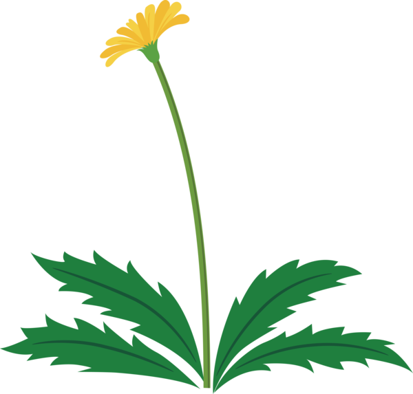 Transparent Easter Flower Plant Leaf for Easter Flower for Easter