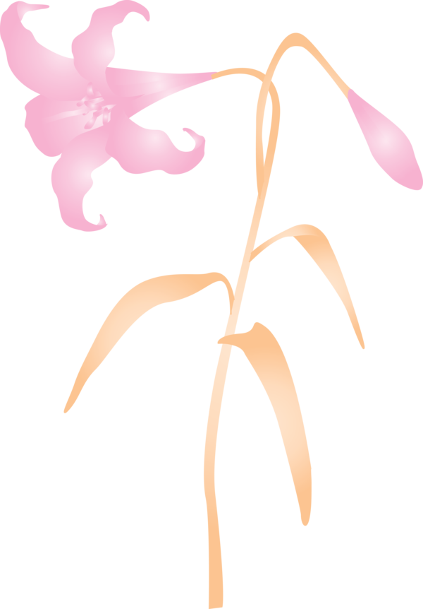 Transparent Easter Leaf Pink Plant for Easter Flower for Easter