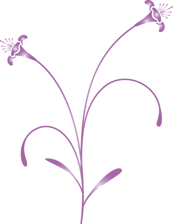 Transparent Easter Violet Plant Leaf for Easter Flower for Easter