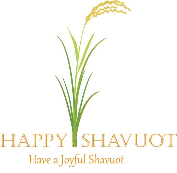 Transparent Shavuot Plant Grass Leaf for Happy Shavuot for Shavuot