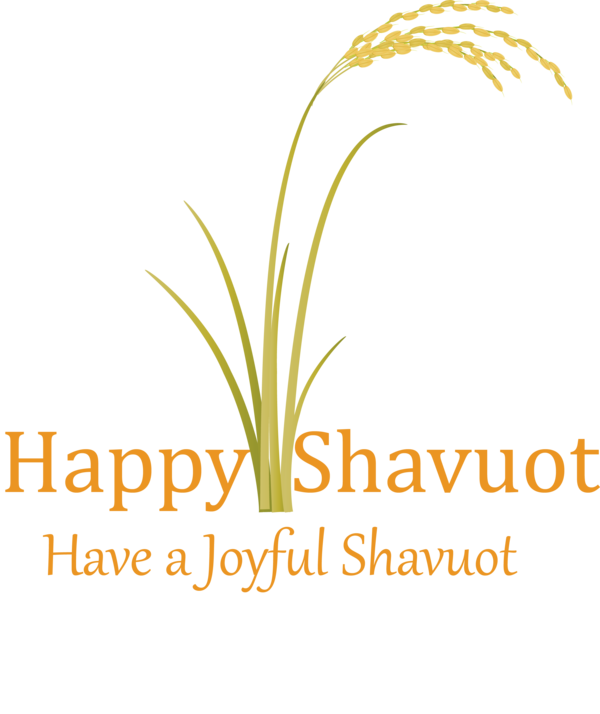 Transparent Shavuot Text Plant Grass family for Happy Shavuot for Shavuot
