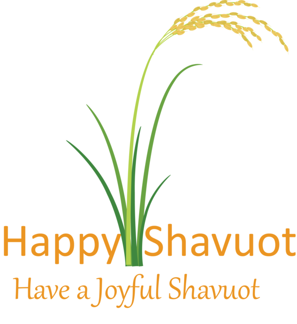 Transparent Shavuot Plant Grass Grass family for Happy Shavuot for Shavuot