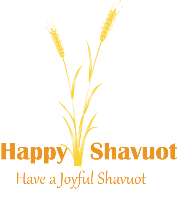 Transparent Shavuot Yellow Text Font for Happy Shavuot for Shavuot
