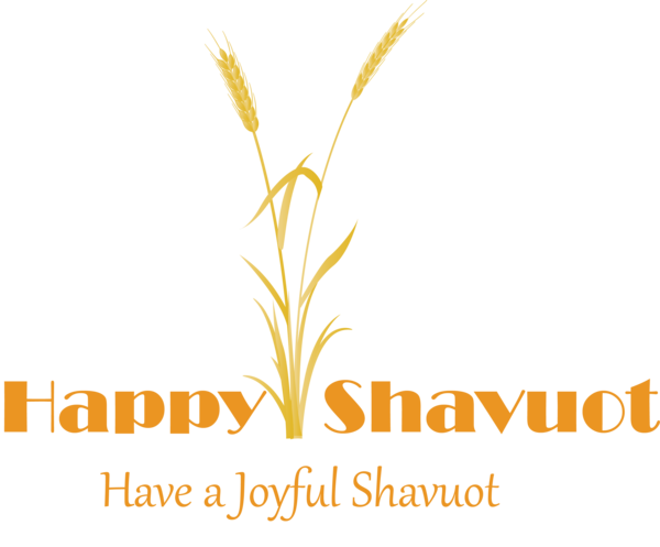 Transparent Shavuot Text Logo Yellow for Happy Shavuot for Shavuot