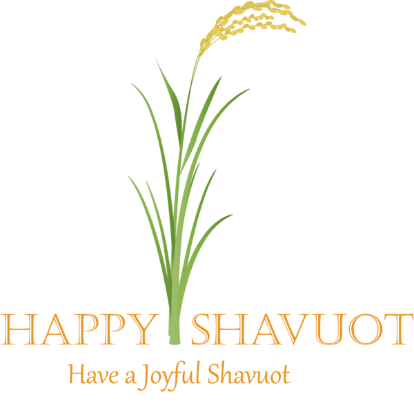 Transparent Shavuot Plant Grass Flower for Happy Shavuot for Shavuot