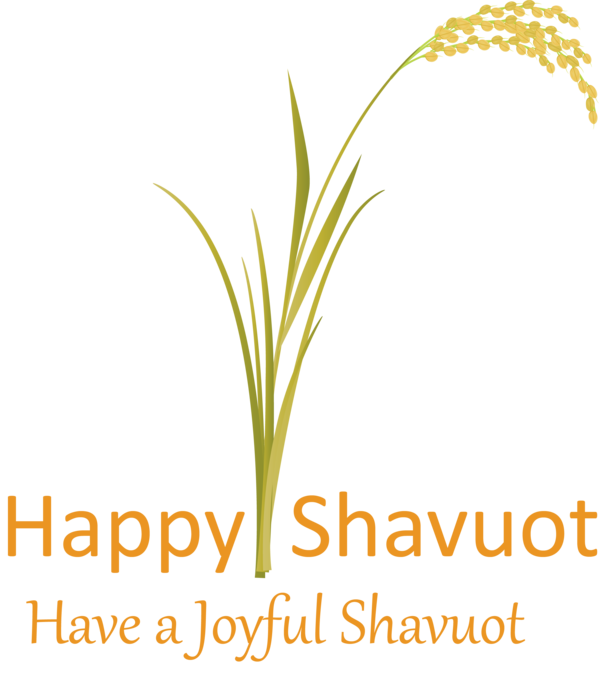 Transparent Shavuot Text Plant Grass for Happy Shavuot for Shavuot