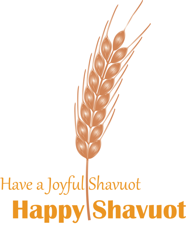 Transparent Shavuot Grass family Font Food grain for Happy Shavuot for Shavuot