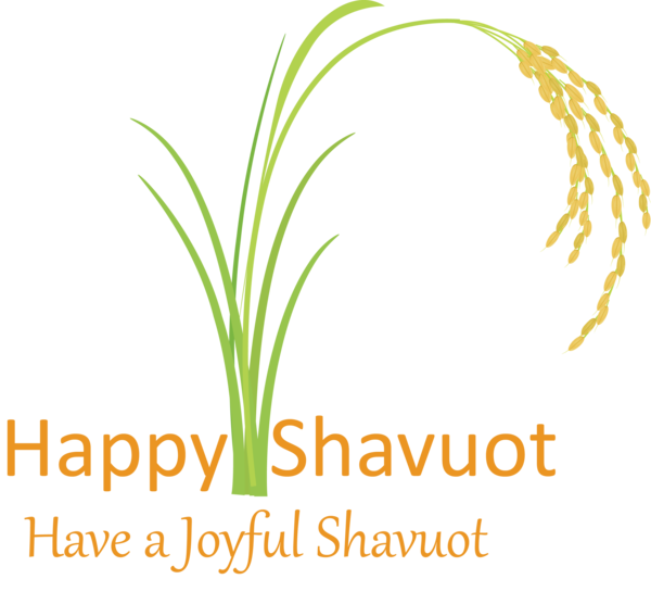 Transparent Shavuot Text Plant Grass family for Happy Shavuot for Shavuot