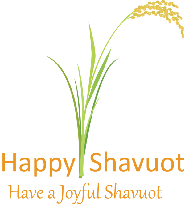 Transparent Shavuot Grass Text Plant for Happy Shavuot for Shavuot