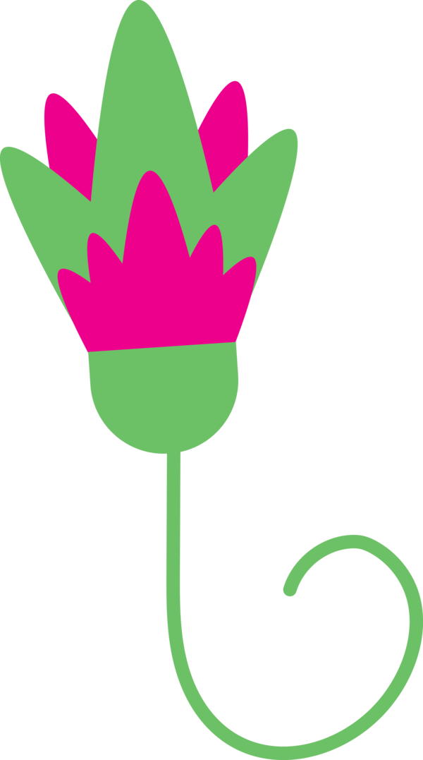 Transparent Cinco de Mayo Petal Plant stem Leaf for Fifth of May for Cinco De Mayo