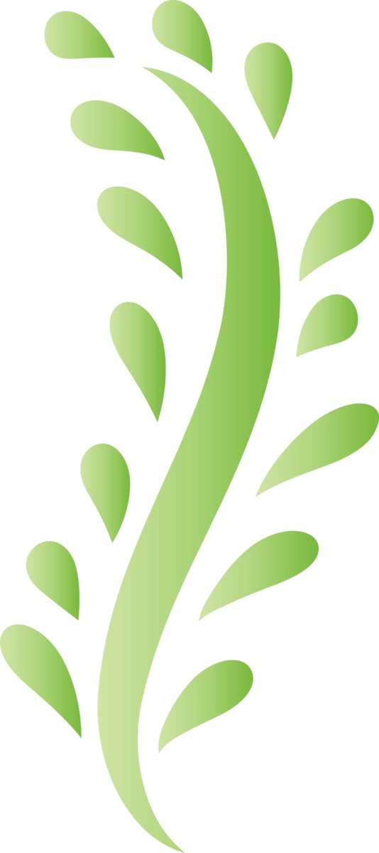 Transparent Cinco de Mayo Leaf Plant stem Logo for Fifth of May for Cinco De Mayo