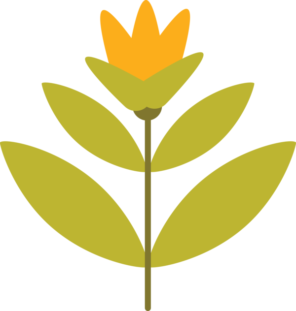 Transparent Cinco de Mayo Leaf Plant stem Petal for Fifth of May for Cinco De Mayo