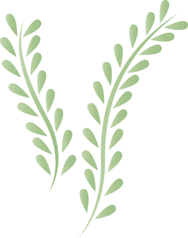Transparent Cinco de Mayo Leaf Twig Plant stem for Fifth of May for Cinco De Mayo