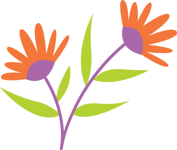 Transparent Cinco de Mayo Floral design Plant stem Daisy family for Fifth of May for Cinco De Mayo