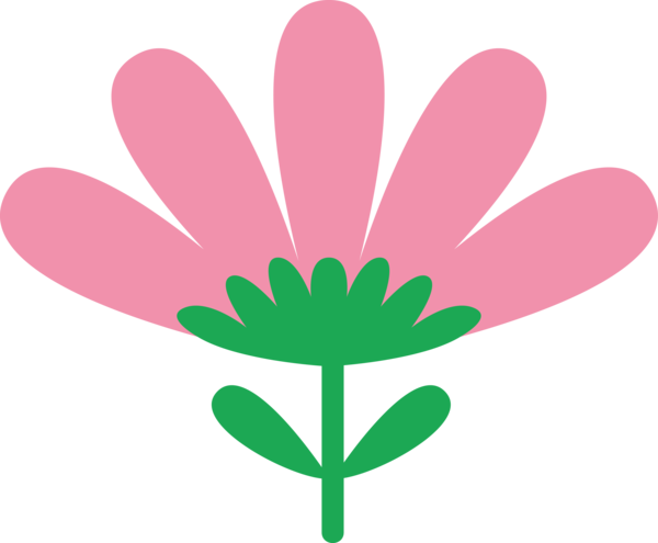 Transparent Cinco de Mayo Petal Flower Rose for Fifth of May for Cinco De Mayo
