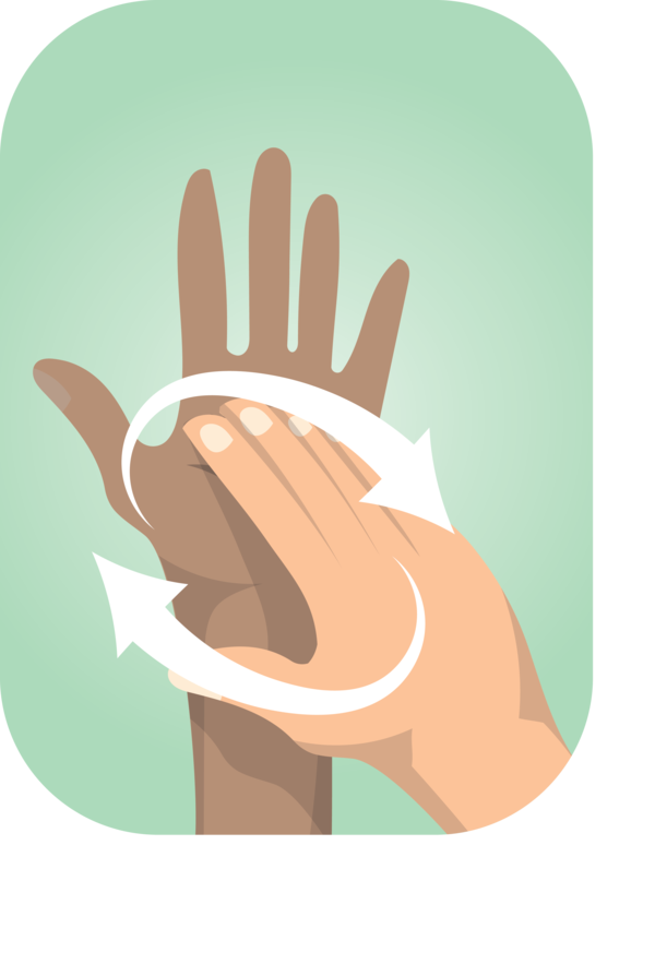 Transparent Global Handwashing Day Meter Science Biology for Hand washing for Global Handwashing Day