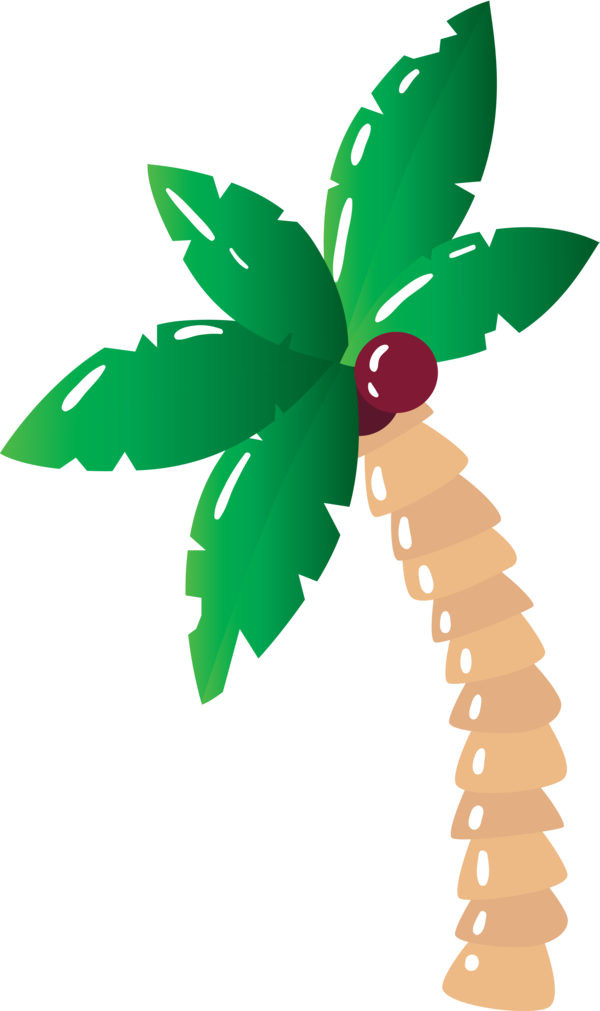 Transparent Brazilian Carnival Plant stem Leaf Produce for Carnaval for Brazilian Carnival