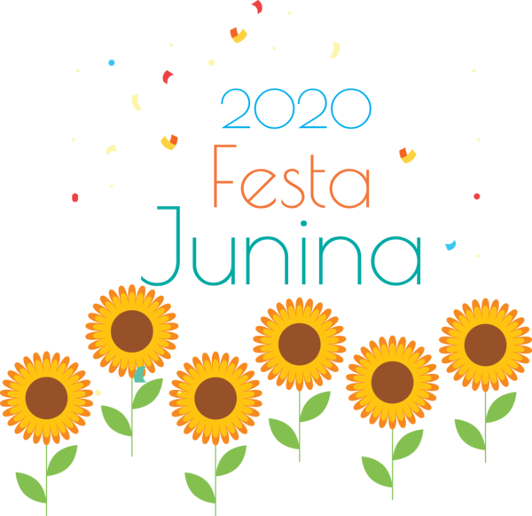 Transparent Festa Junina Common sunflower Cut flowers Floral design for Brazilian Festa Junina for Festa Junina