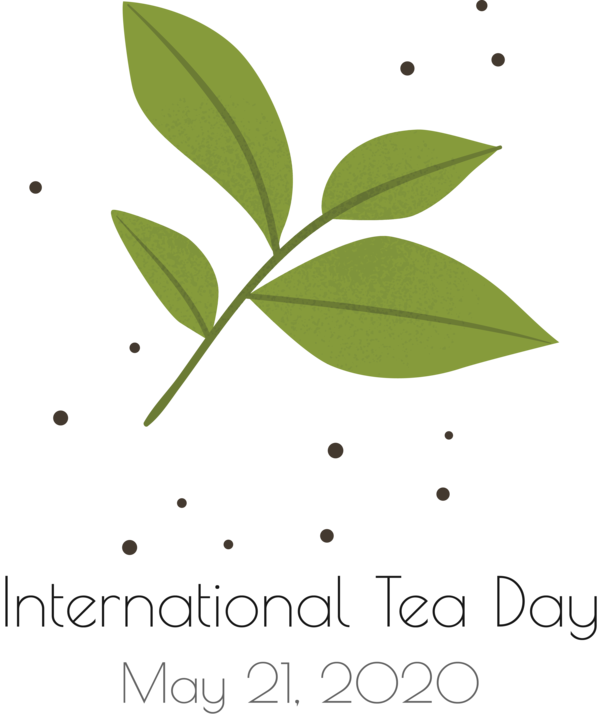 Transparent International Tea Day Leaf Plant stem Green for Tea Day for International Tea Day