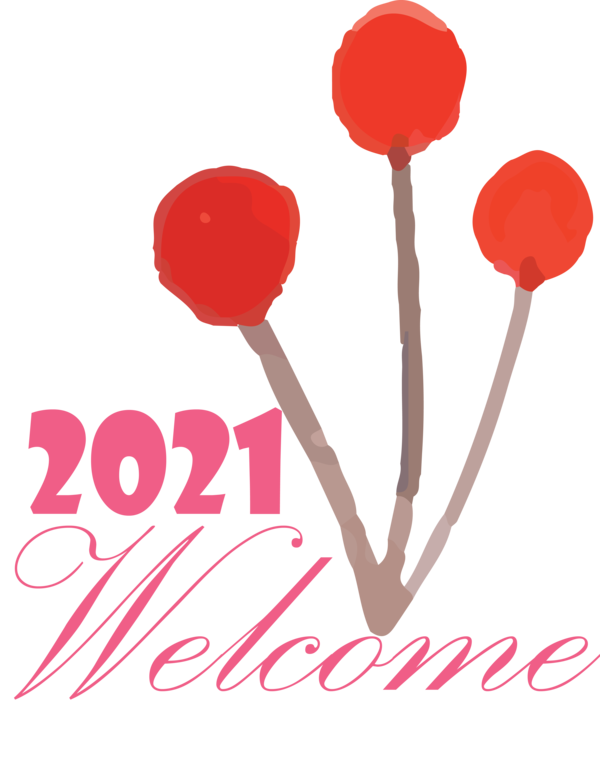 Transparent New Year Meter Valentine's Day Flower for Welcome 2021 for New Year