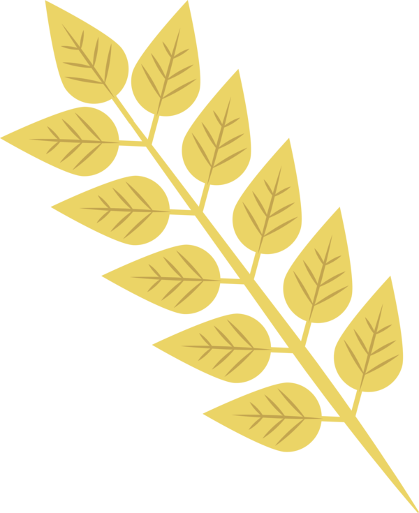Transparent Thanksgiving Leaf Angle Line for Fall Leaves for Thanksgiving