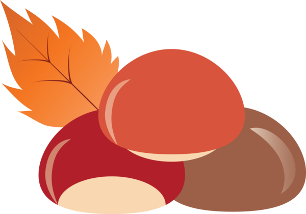 Transparent Thanksgiving Circle Design Fruit for Acorns for Thanksgiving