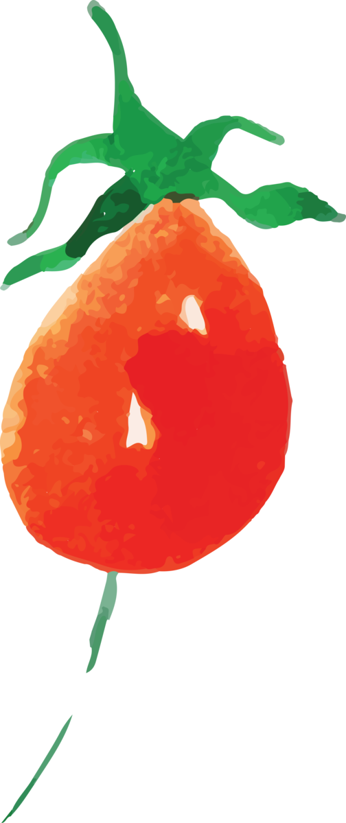 Transparent Thanksgiving Tomato Mandarin orange Vegetarian cuisine for Harvest for Thanksgiving
