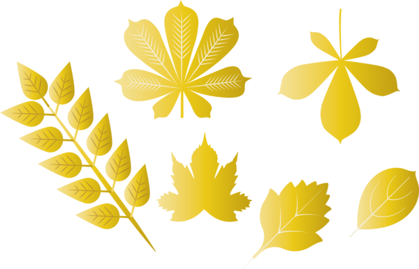 Transparent Thanksgiving Yellow Meter Font for Fall Leaves for Thanksgiving