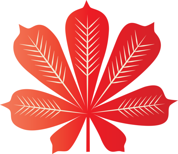 Transparent Thanksgiving Leaf Vector Drawing for Fall Leaves for Thanksgiving