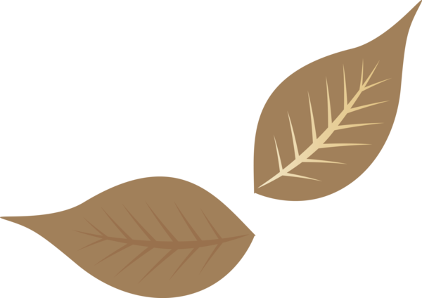 Transparent Thanksgiving Leaf Produce Font for Fall Leaves for Thanksgiving