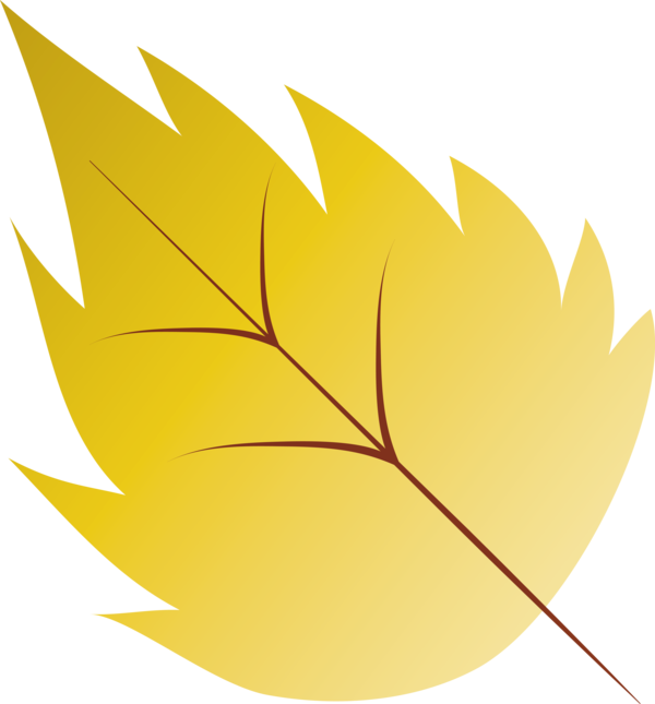 Transparent Thanksgiving Maple leaf Leaf Yellow for Fall Leaves for Thanksgiving
