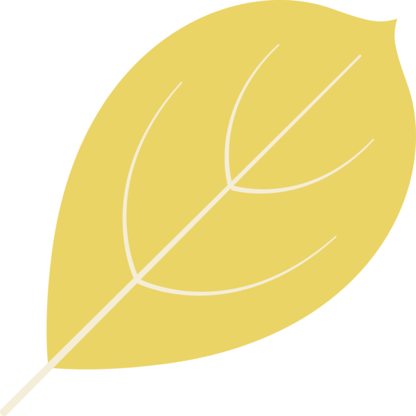 Transparent Thanksgiving Leaf Commodity Yellow for Fall Leaves for Thanksgiving
