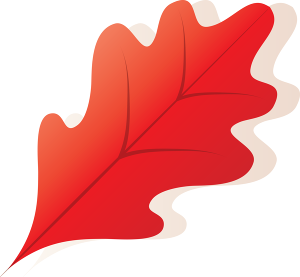 Transparent Thanksgiving Leaf M-tree Design for Fall Leaves for Thanksgiving