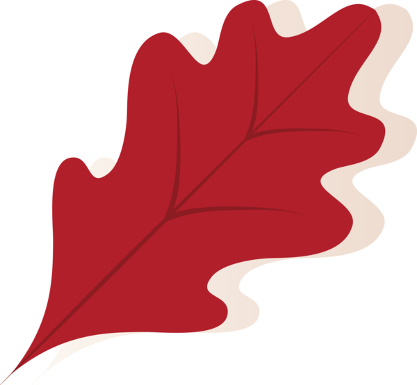Transparent Thanksgiving Design Flat design Drawing for Fall Leaves for Thanksgiving