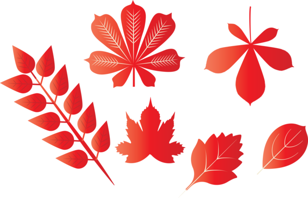 Transparent Thanksgiving Leaf M-tree Font for Fall Leaves for Thanksgiving