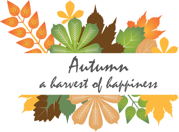 Transparent Thanksgiving Autumn Design Flat design for Fall Leaves for Thanksgiving