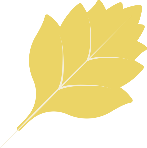 Transparent Thanksgiving Plant stem Leaf Yellow for Fall Leaves for Thanksgiving