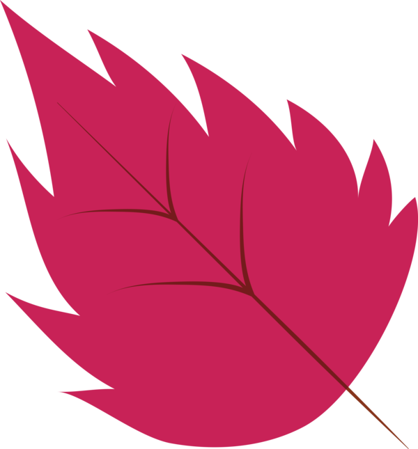 Transparent Thanksgiving Maple leaf Leaf Petal for Fall Leaves for Thanksgiving