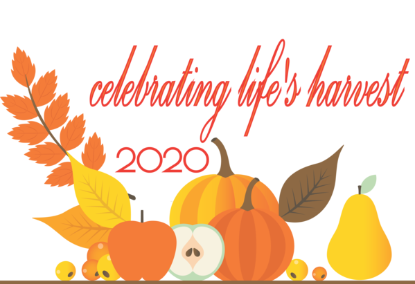 Transparent Thanksgiving Thanksgiving Pumpkin Logo for Fall Leaves for Thanksgiving