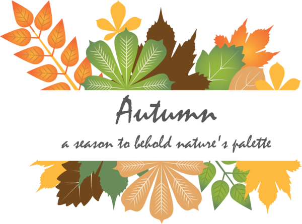 Transparent Thanksgiving Autumn Design Poster for Fall Leaves for Thanksgiving