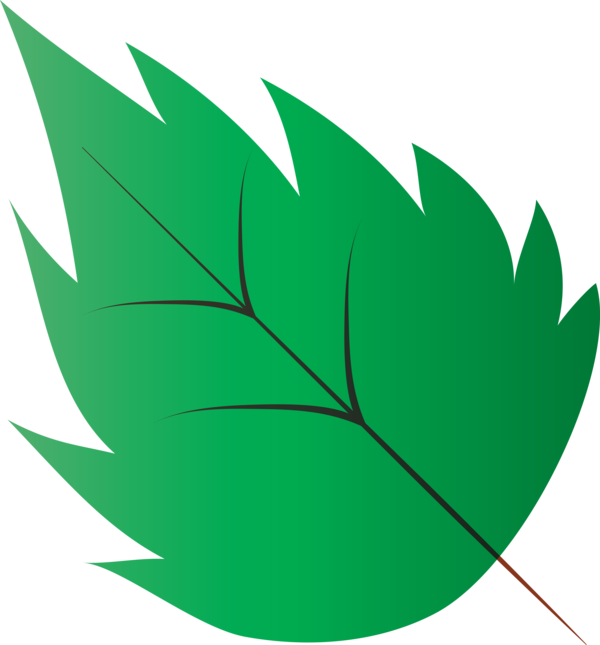 Transparent Thanksgiving Leaf Plant stem Green for Fall Leaves for Thanksgiving