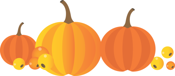 Transparent Thanksgiving Jack-o'-lantern Gourd Pumpkin for Thanksgiving Pumpkin for Thanksgiving