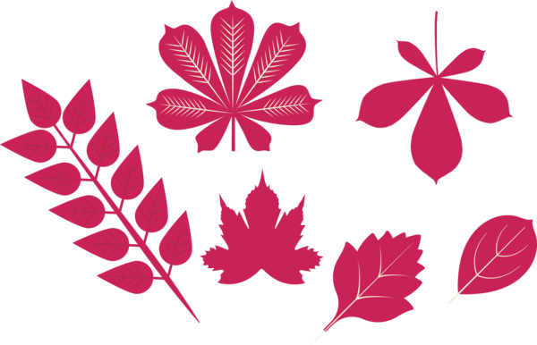 Transparent Thanksgiving Leaf Floral design Pattern for Fall Leaves for Thanksgiving