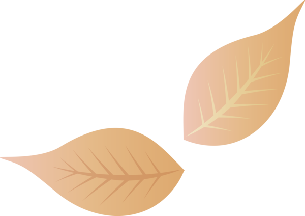 Transparent Thanksgiving Leaf Produce Peach for Fall Leaves for Thanksgiving