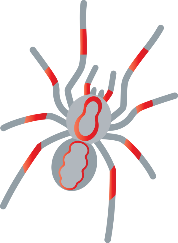 Transparent Halloween Line Design Science for Spider Web for Halloween
