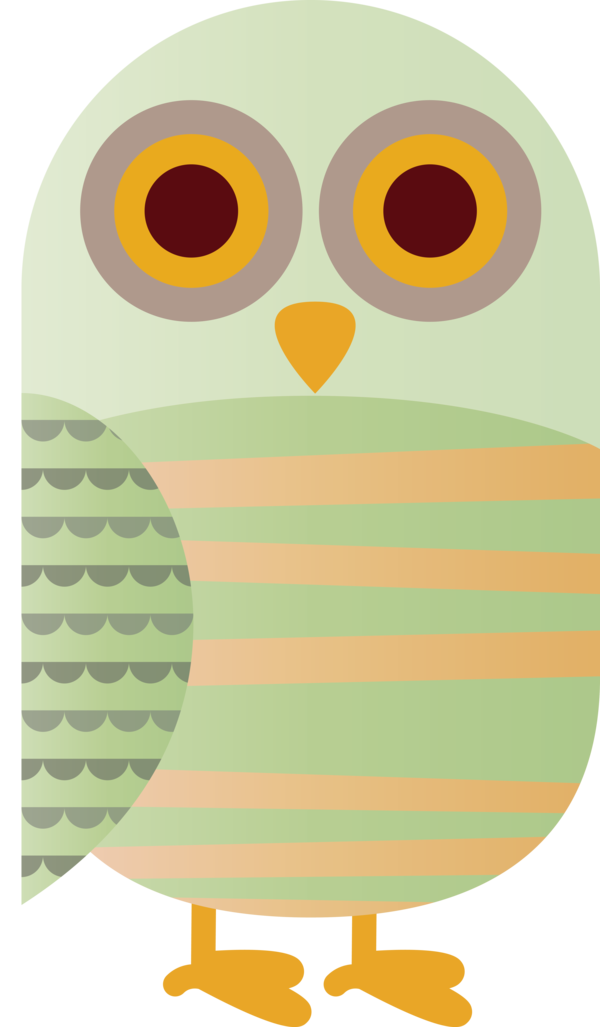 Transparent thanksgiving Owl M Yellow Beak for Thanksgiving Owl for Thanksgiving