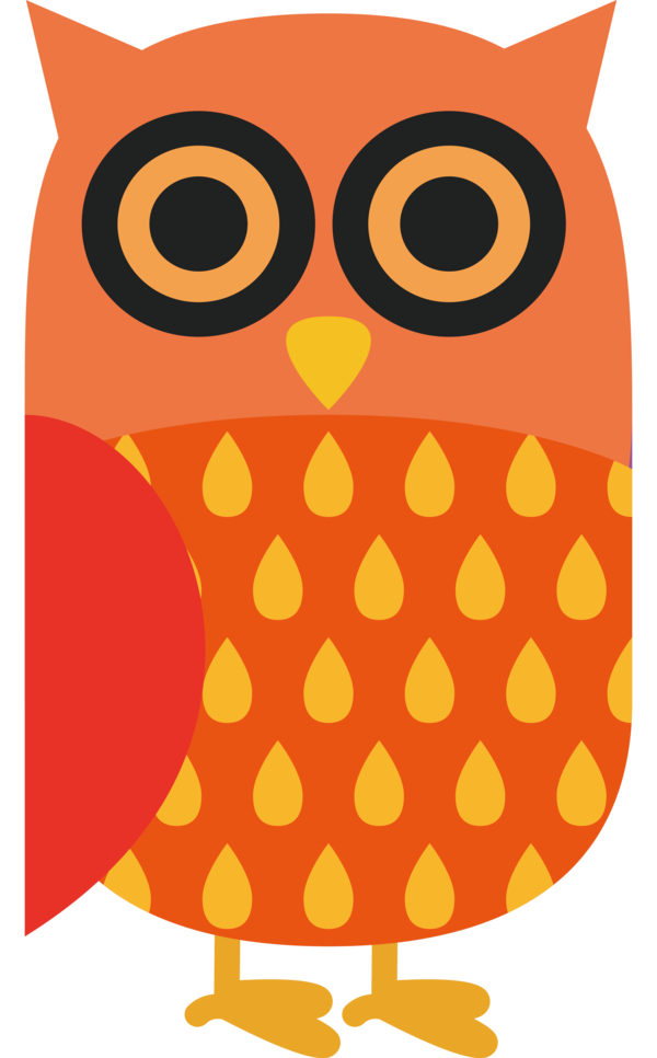 Transparent thanksgiving Owls Birds Tawny owl for Thanksgiving Owl for Thanksgiving